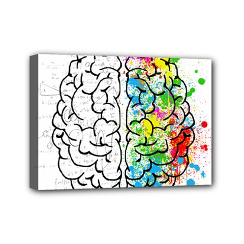 Brain-mind-psychology-idea-drawing Mini Canvas 7  X 5  (stretched) by Jancukart