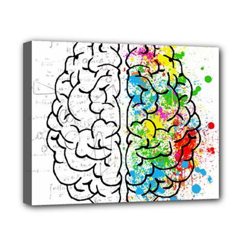 Brain-mind-psychology-idea-drawing Canvas 10  X 8  (stretched) by Jancukart