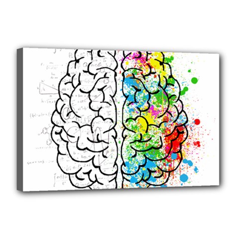 Brain-mind-psychology-idea-drawing Canvas 18  X 12  (stretched) by Jancukart