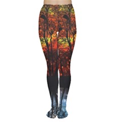 Space Nature Fantasy Trees Tights by Ravend