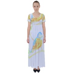 Bird Lover T- Shirtbird T- Shirt (22) High Waist Short Sleeve Maxi Dress by maxcute