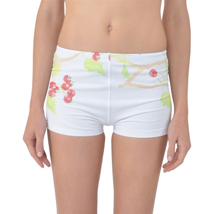 Bird Lover T- Shirtbird T- Shirt (35) Reversible Boyleg Bikini Bottoms