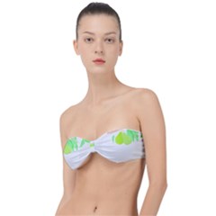 Bird Lover T- Shirtbird T- Shirt (37) Classic Bandeau Bikini Top  by maxcute