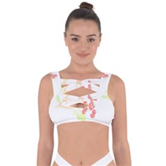 Bird Lover T- Shirtbird T- Shirt (38) Bandaged Up Bikini Top by maxcute