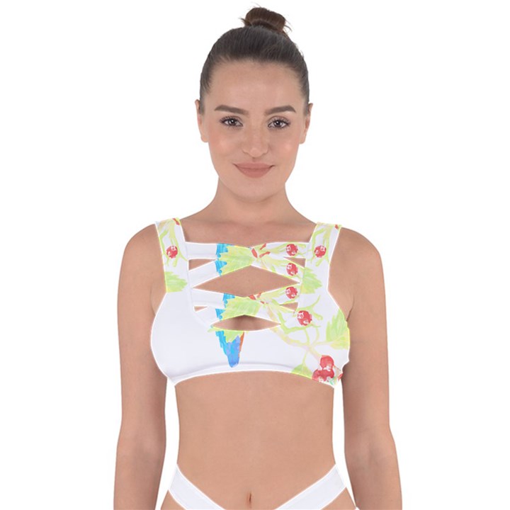 Bird Lover T- Shirtbird T- Shirt (9) Bandaged Up Bikini Top