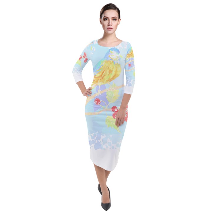 Birds Illustration T- Shirtbird T- Shirt (6) Quarter Sleeve Midi Velour Bodycon Dress