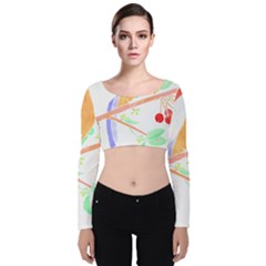 Birds Illustration T- Shirtbird T- Shirt (8) Velvet Long Sleeve Crop Top by maxcute