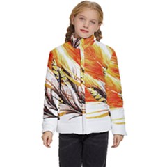 Boho Fire Feather Pattern T- Shirt Boho Fire Feather Pattern T- Shirt Kids  Puffer Bubble Jacket Coat by maxcute