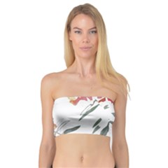 Botanical T- Shirt Botanical Graceful Chag T- Shirt Bandeau Top by maxcute