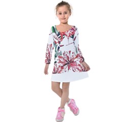 Botanical T- Shirt Botanical Pattern Hummingbird T- Shirt Kids  Long Sleeve Velvet Dress by maxcute