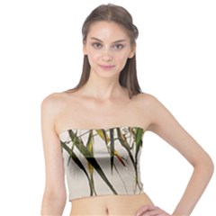 Branches T- Shirt Green Leaves, Branches, Green, Wallart, Summer, Nature, Digital, Art, Minimal, Tro Tube Top by maxcute