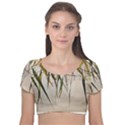 Branches T- Shirt Green Leaves, Branches, Green, Wallart, Summer, Nature, Digital, Art, Minimal, Tro Velvet Short Sleeve Crop Top  View1