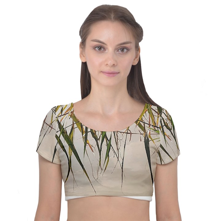 Branches T- Shirt Green Leaves, Branches, Green, Wallart, Summer, Nature, Digital, Art, Minimal, Tro Velvet Short Sleeve Crop Top 