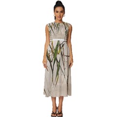 Branches T- Shirt Green Leaves, Branches, Green, Wallart, Summer, Nature, Digital, Art, Minimal, Tro Sleeveless Round Neck Midi Dress