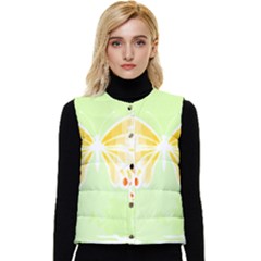 Butterfly Art T- Shirtbutterfly T- Shirt (1) Women s Short Button Up Puffer Vest by maxcute