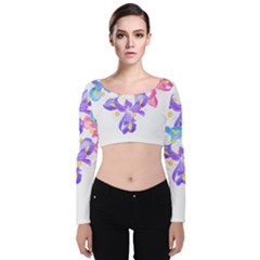 Daisies In Bloom T- Shirt Daisy Iris Heart Flower Floral Pattern Daisies T- Shirt Velvet Long Sleeve Crop Top by maxcute