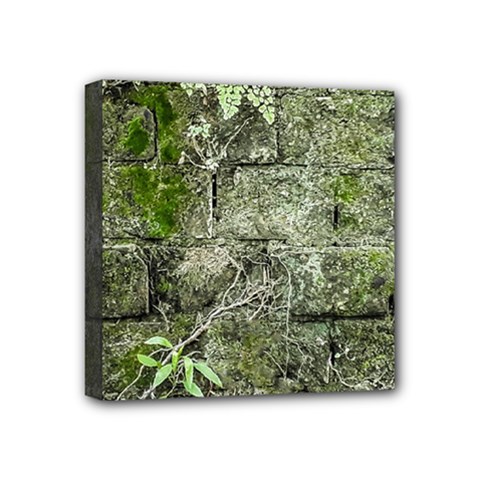 Old Stone Exterior Wall With Moss Mini Canvas 4  X 4  (stretched) by dflcprintsclothing