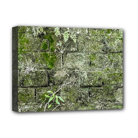 Old Stone Exterior Wall With Moss Deluxe Canvas 16  X 12  (stretched)  by dflcprintsclothing