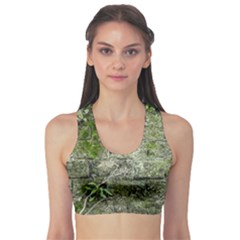 Old Stone Exterior Wall With Moss Sports Bra by dflcprintsclothing