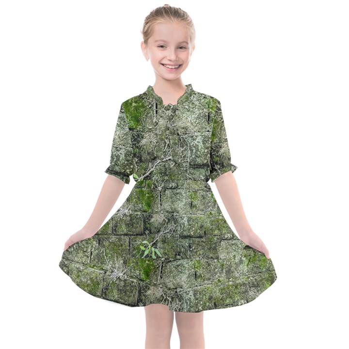 Old Stone Exterior Wall With Moss Kids  All Frills Chiffon Dress