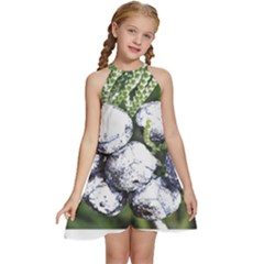 Gin T- Shirt Gin Juniper Berry Plant Photo T- Shirt Kids  Halter Collar Waist Tie Chiffon Dress by maxcute