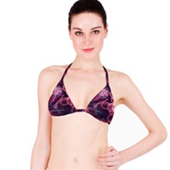 Formula Math Mathematics Physics Science Bikini Top