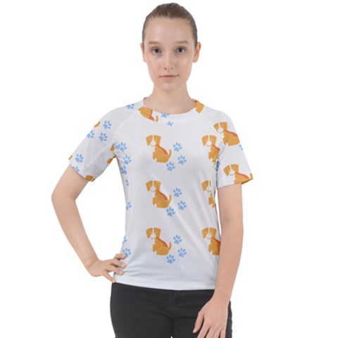 Pet T- Shirtdog And Cat Lover Pattern T- Shirt Women s Sport Raglan Tee by maxcute