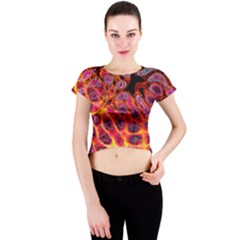 Fractal Black Texture Wallpaper Crew Neck Crop Top