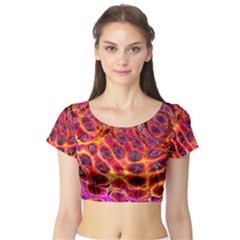 Fractal Black Texture Wallpaper Short Sleeve Crop Top