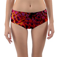 Fractal Black Texture Wallpaper Reversible Mid-Waist Bikini Bottoms