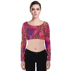 Colorful Bubbles Abstract Art Velvet Long Sleeve Crop Top