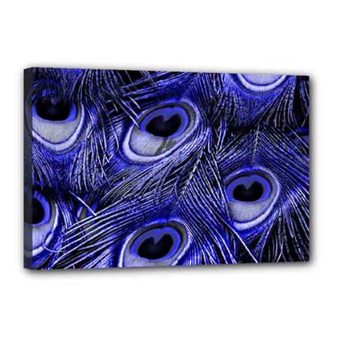 Purple Peacock Feather Canvas 18  X 12  (stretched)