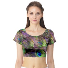 Green Purple And Blue Peacock Feather Short Sleeve Crop Top