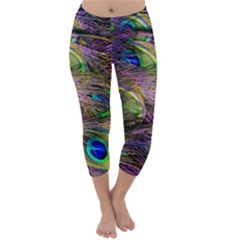 Green Purple And Blue Peacock Feather Capri Winter Leggings 