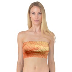 Orange Leaves Colorful Transparent Texture Of Natural Background Bandeau Top