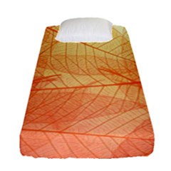 Orange Leaves Colorful Transparent Texture Of Natural Background Fitted Sheet (single Size) by Jancukart