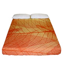 Orange Leaves Colorful Transparent Texture Of Natural Background Fitted Sheet (queen Size) by Jancukart