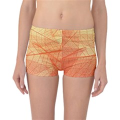 Orange Leaves Colorful Transparent Texture Of Natural Background Reversible Boyleg Bikini Bottoms