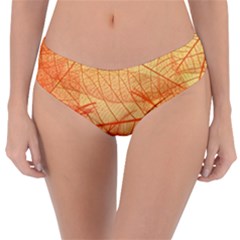 Orange Leaves Colorful Transparent Texture Of Natural Background Reversible Classic Bikini Bottoms