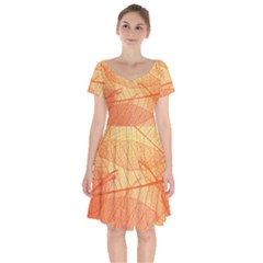 Orange Leaves Colorful Transparent Texture Of Natural Background Short Sleeve Bardot Dress