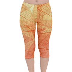 Orange Leaves Colorful Transparent Texture Of Natural Background Velvet Capri Leggings 