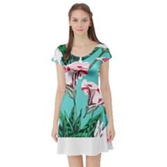 Tropical T- Shirt Tropical Gorgeous Oppositiflor T- Shirt Short Sleeve Skater Dress by maxcute