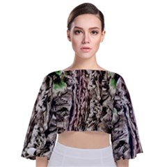 Tobias Tie Back Butterfly Sleeve Chiffon Top by MRNStudios