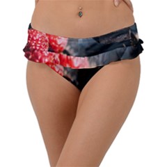 Chocolate Dark Frill Bikini Bottom