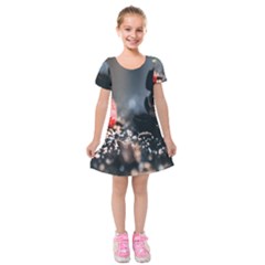 Chocolate Dark Kids  Short Sleeve Velvet Dress by artworkshop