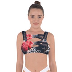 Chocolate Dark Bandaged Up Bikini Top by artworkshop