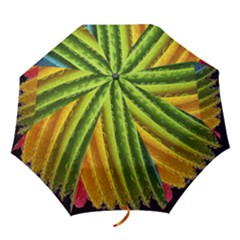  Colorful Illustrations Folding Umbrellas by artworkshop