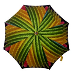  Colorful Illustrations Hook Handle Umbrellas (small) by artworkshop