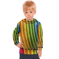  Colorful Illustrations Kids  Hooded Pullover by artworkshop