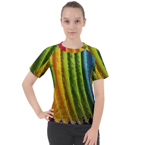  Colorful Illustrations Women s Sport Raglan Tee by artworkshop